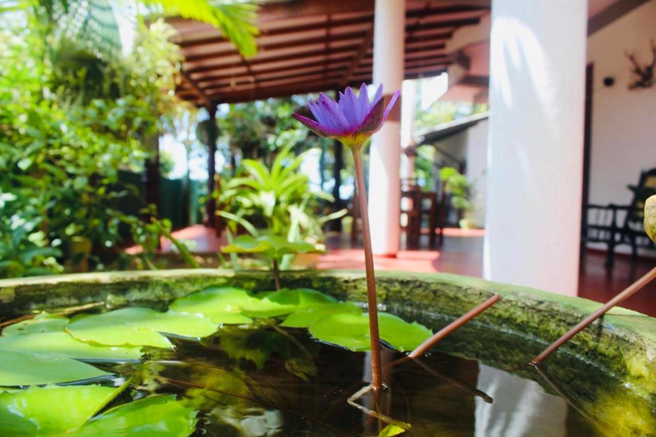 Sunrise Guest House & Restaurant Tangalle Exteriér fotografie